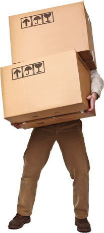Professional Moving Services