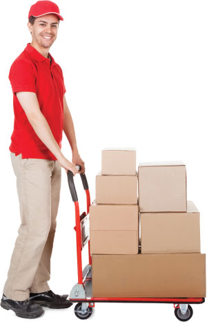 Removal Van Services