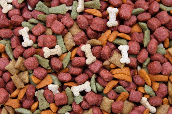 dog food
