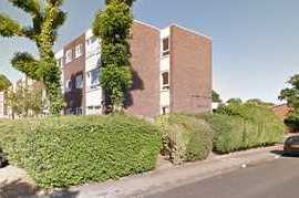 Extremely Affordable Man and Van Services in Ham TW10