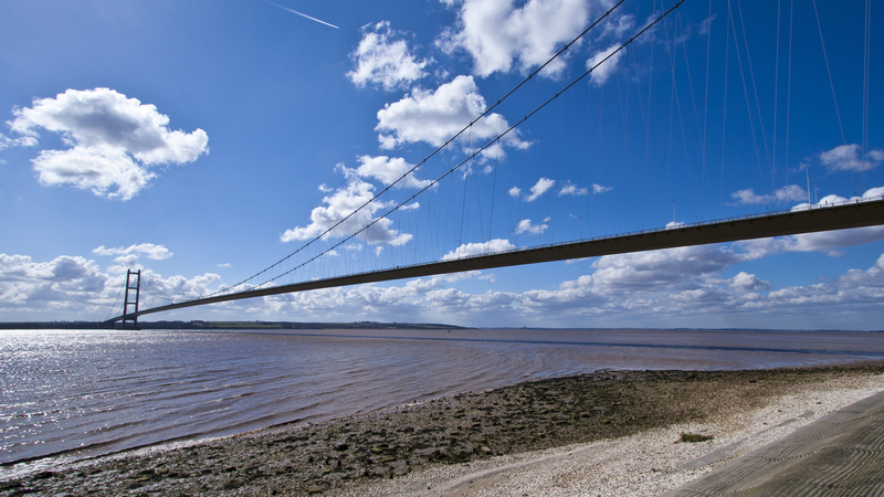 moving company moving companies